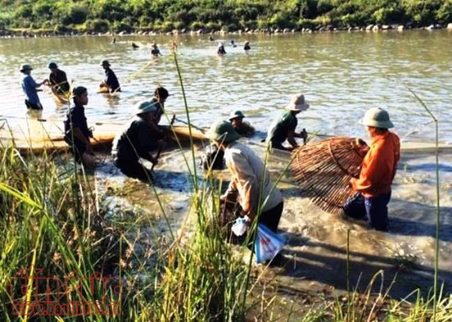 Chùm ảnh vùng quê trù phú, an lành ở Hà Tĩnh ảnh 2