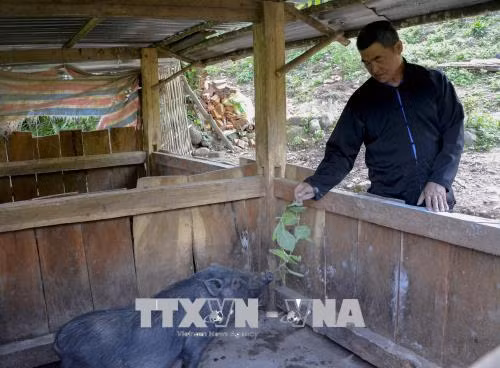 Pờ Á Sinh - 'cột mốc sống' nơi biên cương Tổ quốc ảnh 2