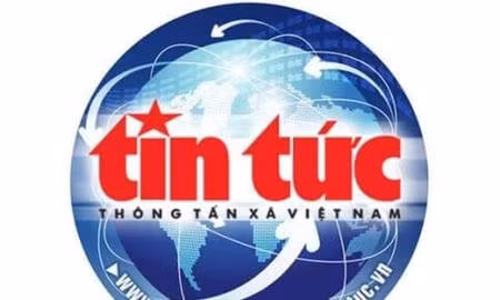 Một voi nhà bị chết khi thả nuôi trong rừng