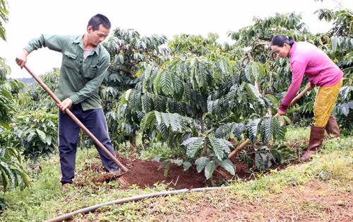Cà phê chế biến vô danh ảnh 1