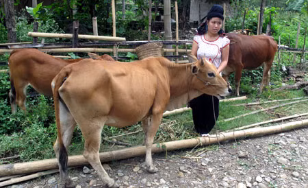 Đổi thay nơi “rốn nghèo” ảnh 1