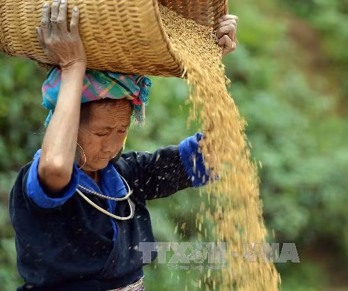 Đổi thay nơi “đỉnh trời” La Pán Tẩn ảnh 1