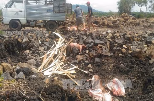 Đồng Nai phạt các cơ sở giết mổ trái phép hơn 400 triệu đồng ảnh 1