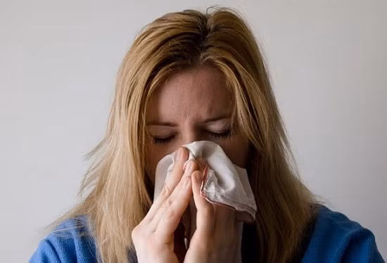 Dịch cúm A/H3N2 hoành hành tại CH Séc ảnh 1