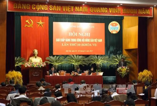 Tổ chức lại sản xuất nông nghiệp theo chuỗi giá trị ảnh 1
