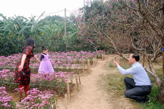 Vườn hoa bãi đá sông Hồng: Điểm du lịch hấp dẫn dịp nghỉ lễ ảnh 9