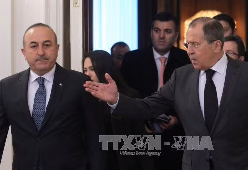 Ấn định ngày hòa đàm về Syria tại Astana ảnh 1