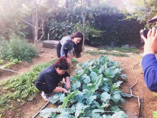 Nghệ sĩ "Tàu anh qua núi" vui thú điền viên ảnh 3