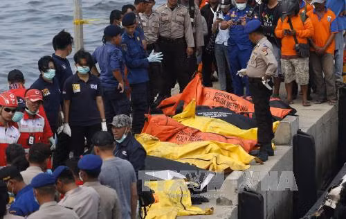 Hé lộ nguyên nhân cháy phà chở khách ở Indonesia ảnh 1