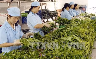 Hướng tới đầu tư phát triển nông nghiệp công nghệ cao ảnh 2
