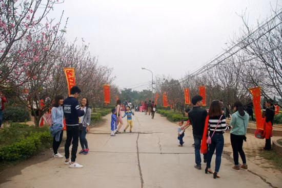 Vườn hoa bãi đá sông Hồng: Điểm du lịch hấp dẫn dịp nghỉ lễ ảnh 7