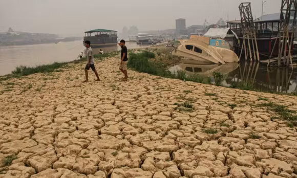Dòng sông cạn khô tại Palangkaraya ở trung tâm Kalimantan. Hạn hán do hiện tượng El Nino mạnh bất thường năm nay đã làm giảm mực nước các con sông ở phần đảo Borneo thuộc Indonesia, gây gián đoạn việc vận chuyển các mặt hàng như than đá và dầu cọ. Ảnh: Antara