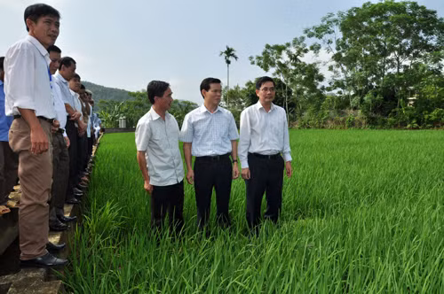 Hà Giang phấn đấu đến năm 2020 thoát khỏi tỉnh đặc biệt khó khăn ảnh 2