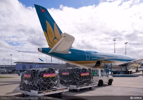 Vietnam Airlines vận chuyển miễn phí máy lọc thận nhân tạo cho Bệnh viện Thận Hà Nội ảnh 1