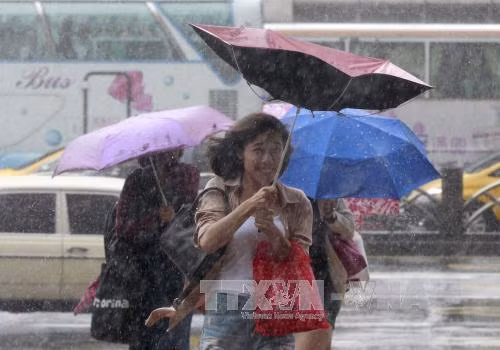 Hơn 20 người bị thương do bão Dujuan ảnh 1
