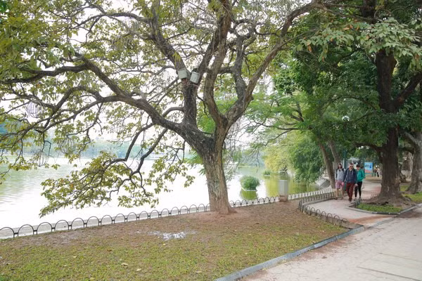 Bắc bộ có mưa vài nơi, Nam bộ nắng dịu ảnh 1
