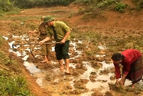 Bộ đội biên phòng giúp vùng cao biên giới phát triển kinh tế - xã hội ảnh 1