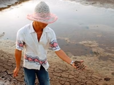 Trà Vinh: Tôm nuôi chết trên diện rộng ảnh 1