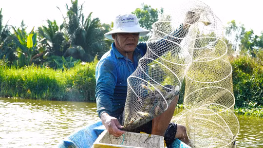 Hiệu quả từ nuôi thủy sản an toàn sinh học ở An Giang