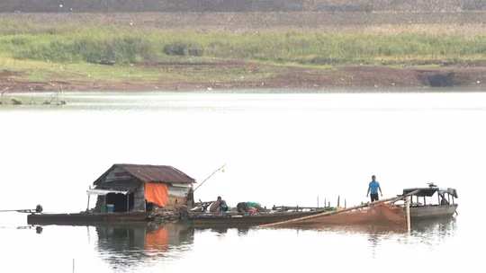 Khó khăn bủa vây nghề nuôi cá lồng bè trên lòng hồ Thác Mơ
