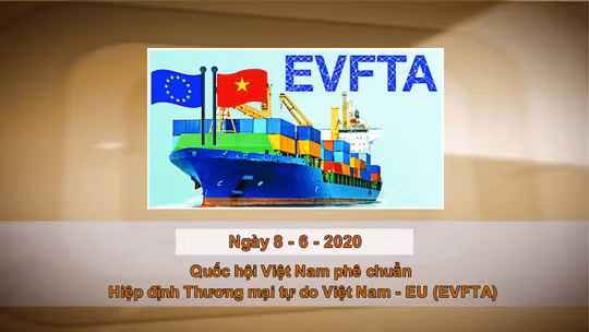 Khoảnh khắc và Sự kiện ngày 8/6