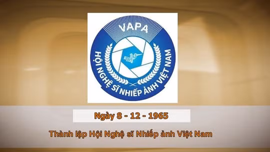 Khoảnh khắc và Sự kiện ngày 8/12 