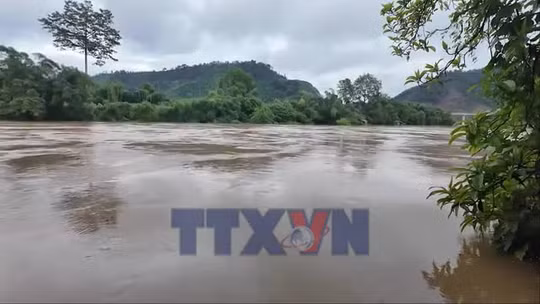 Tân Quang không để lũ về mới ứng phó