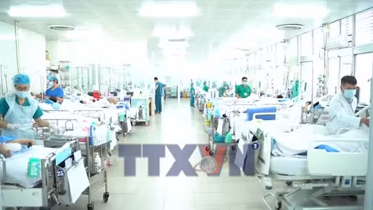 Sức khoẻ nạn nhân vụ lật ca nô tại Phú Quốc đang chuyển biến tích cực