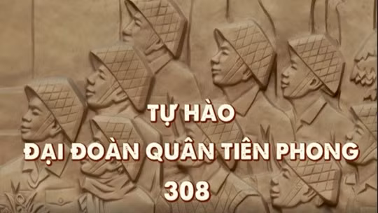 Thông điệp lịch sử: Tự hào Đại đoàn Quân Tiên phong 308