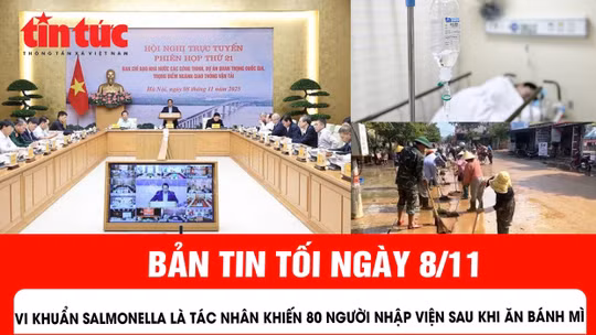 Vi khuẩn salmonella là tác nhân khiến 80 người nhập viện sau khi ăn bánh mì