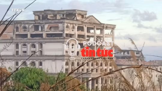 Tin nóng thế giới sáng 14/12/2025