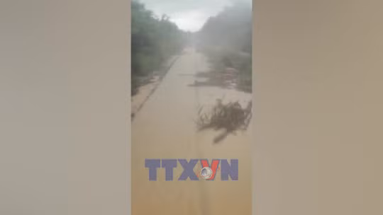 Rút ngắn hành trình nhiều chuyến tàu Bắc - Nam