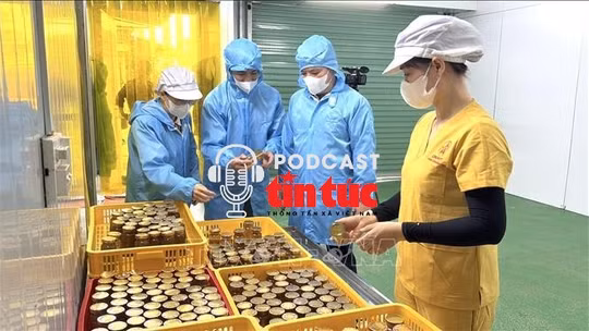 Đẩy mạnh nội dung chuyển đổi số trong sửa đổi Luật An toàn thực phẩm
