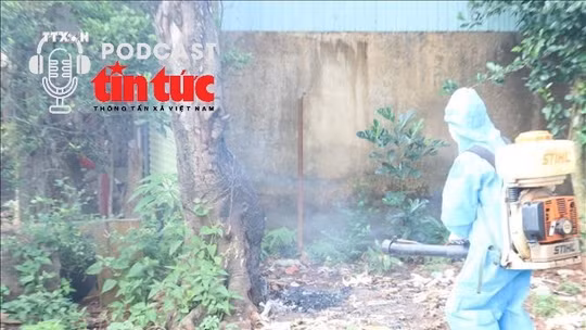 Bác sĩ ơi: Cảnh giác dịch sốt xuất huyết ngay từ đầu năm