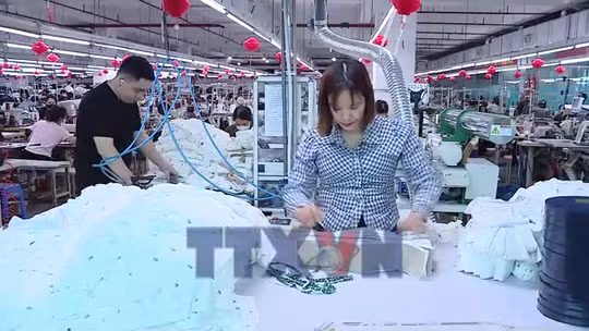 Nỗ lực duy trì sản xuất và ổn định việc làm