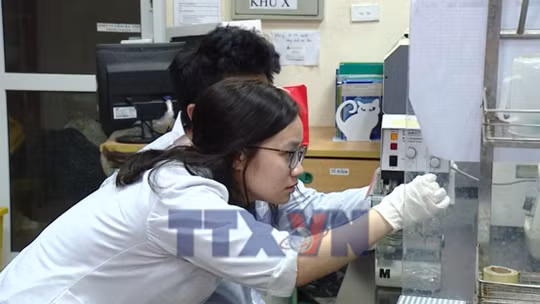 Việt Nam đặt mục tiêu có hướng nghiên cứu vào nhóm 5% thế giới