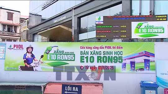 Giám sát, kiểm tra triển khai xăng sinh học E10