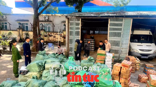 Tin nóng trong nước sáng 29/1/2026
