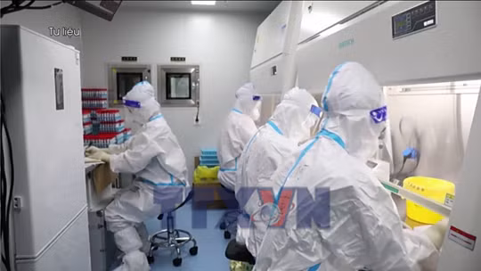 Theo dõi chặt chẽ biến thể 've sầu' của virus SASR-CoV-2