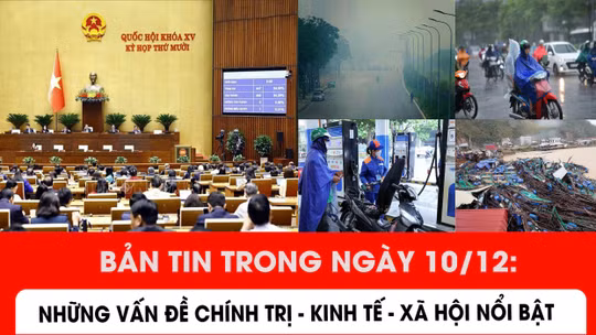 Bản tin trong ngày 10/12: Những vấn đề chính trị - kinh tế - xã hội nổi bật