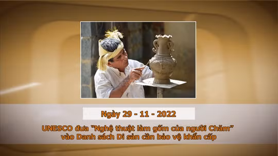 Khoảnh khắc & sự kiện ngày 29/11