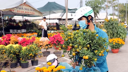 Người dân tấp nập mua sắm tại chợ hoa Xuân Tri Tôn (An Giang).