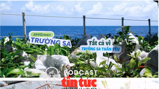 Mầm xanh từ đất liền, sức sống ở Trường Sa: Gửi niềm tin xanh 