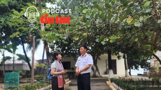Mầm xanh từ đất liền, sức sống ở Trường Sa: Đảo công viên giữa trùng khơi 