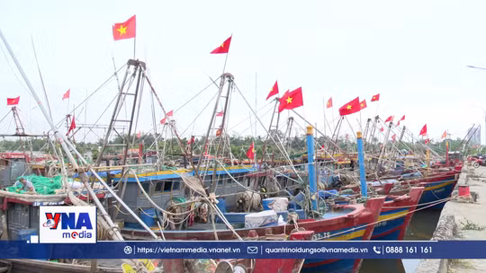 Cờ Tổ quốc đồng hành cùng ngư dân vươn khơi