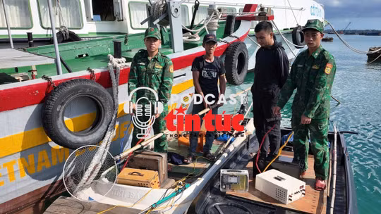 Tin nóng trong nước sáng 3/10/2025