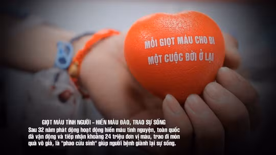 Thời sự 24h qua ảnh chiều 14/6