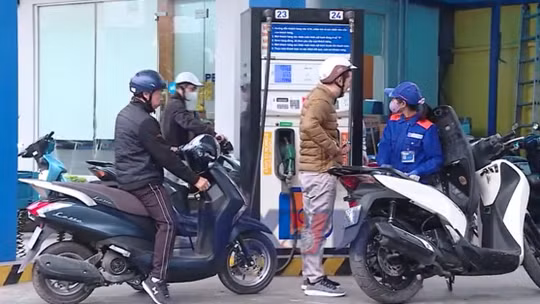 Biến động giá xăng dầu: Nhận diện và ứng phó