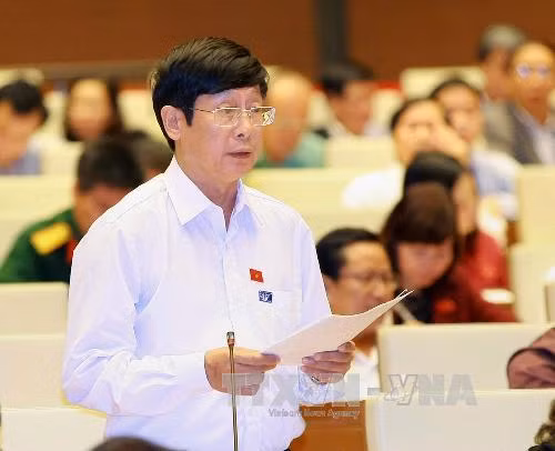Đại biểu Quốc hội ủng hộ xây sân bay Long Thành ảnh 1