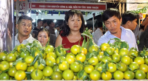 Xuất khẩu rau quả nhiều triển vọng ảnh 1
